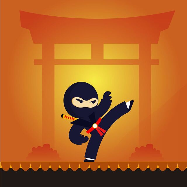 ninja guerrero